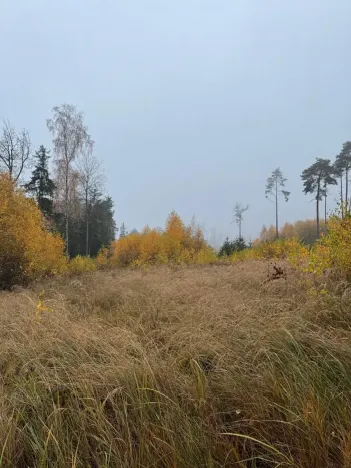 Prodej lesa, Úboč, 13538 m2