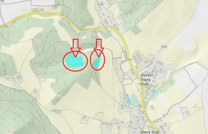 Prodej lesa, Český Dub, 17551 m2