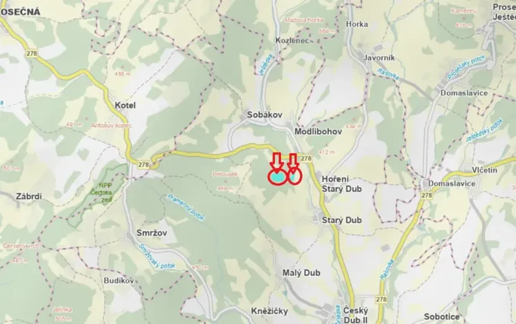 Prodej lesa, Český Dub, 17551 m2