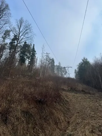 Prodej podílu lesa, Malá Bystřice, 5829 m2