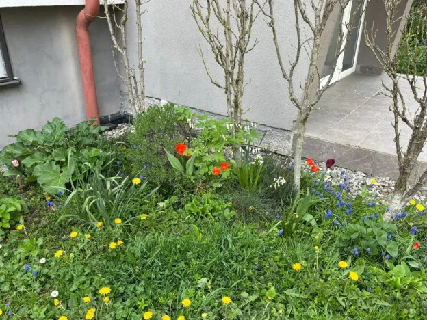 Prodej bytu 4+1, Kroměříž, Talichova, 96 m2