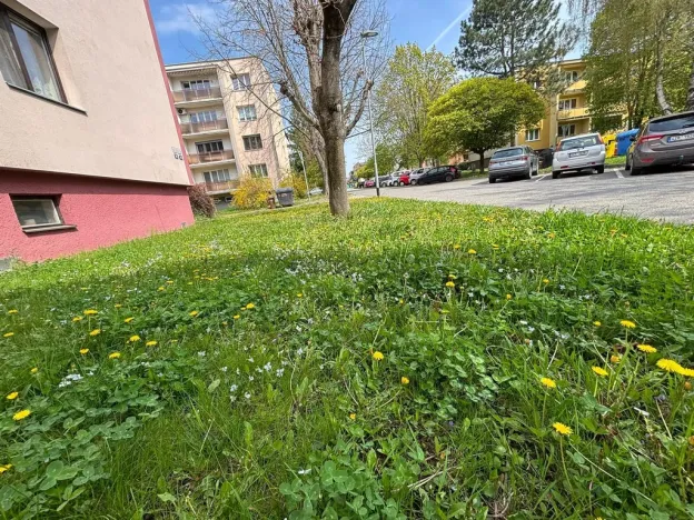 Prodej bytu 4+1, Kroměříž, Talichova, 96 m2