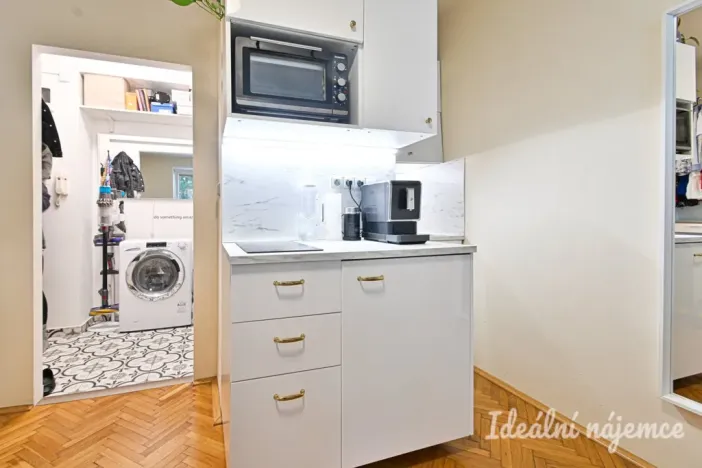 Pronájem bytu 1+kk, Brno - Královo Pole, Ruská, 20 m2