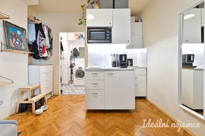 Pronájem bytu 1+kk, Brno - Královo Pole, Ruská, 20 m2