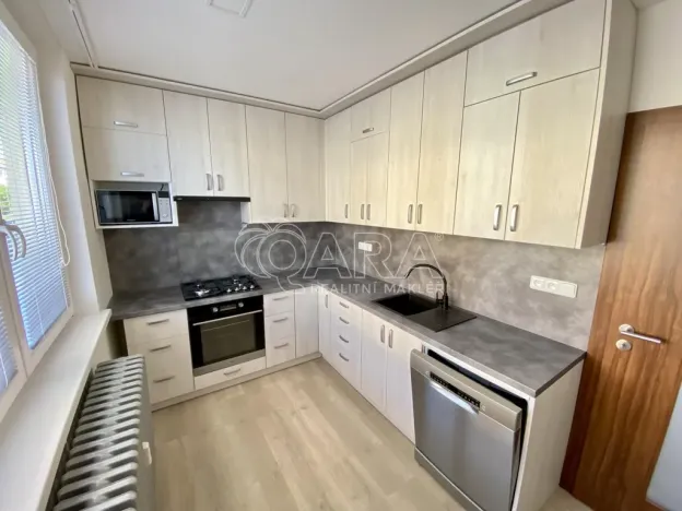 Pronájem bytu 1+1, Vyškov - Vyškov-Předměstí, 41 m2