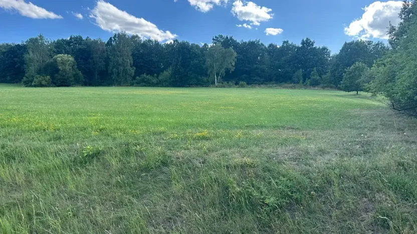 Prodej pozemku pro bydlení, Albrechtice nad Vltavou, 5665 m2