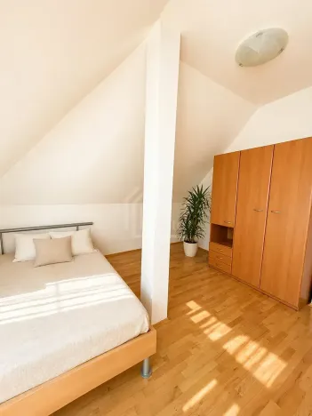 Pronájem vily, Praha - Suchdol, 350 m2