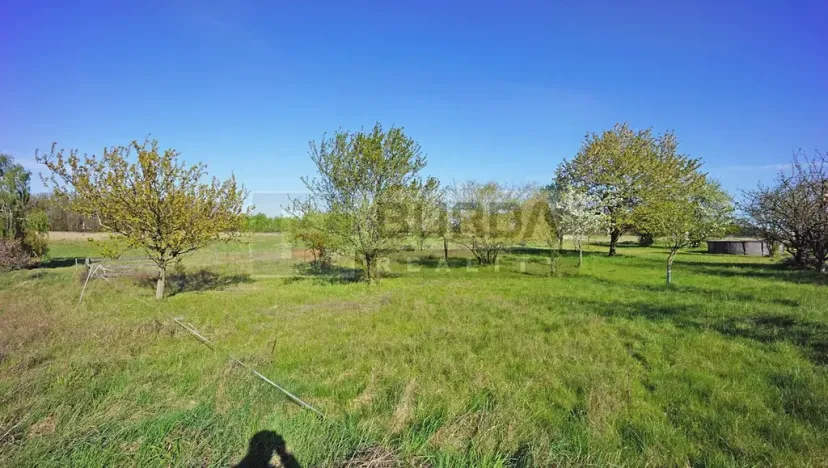 Prodej zahrady, Mělník, 9817 m2