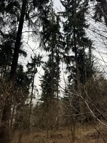 Prodej pole, Hlavňovice, 11738 m2