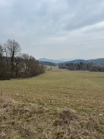 Prodej pole, Hlavňovice, 11738 m2