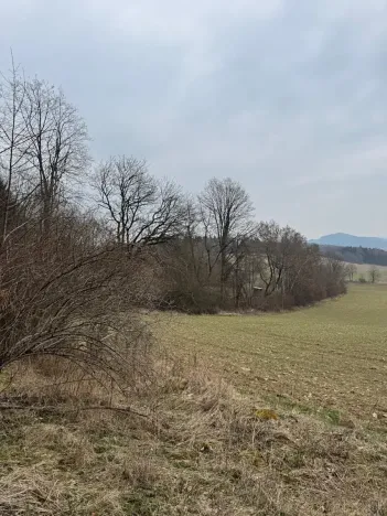 Prodej pole, Hlavňovice, 11738 m2