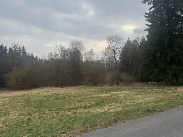 Prodej pole, Hlavňovice, 11738 m2