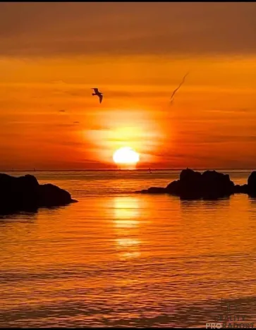 Prodej bytu 2+kk, San Foca,Itálie, 66 m2