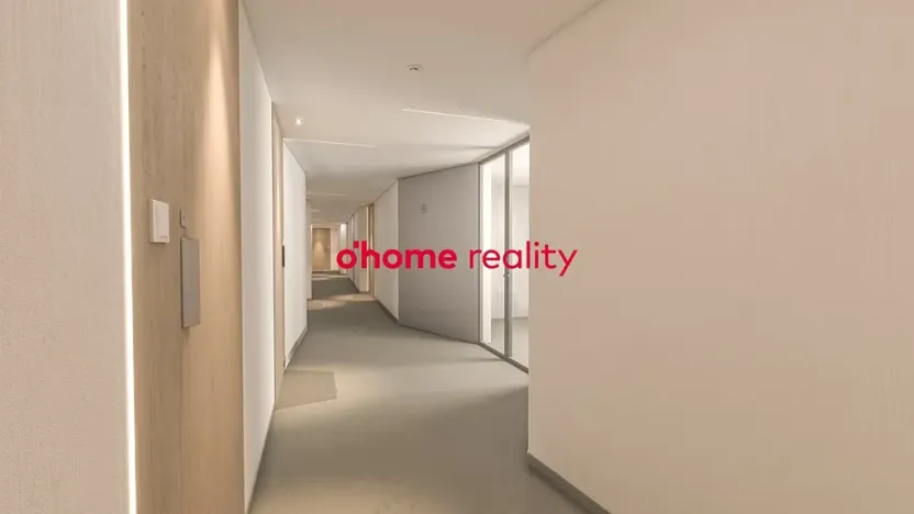 Prodej bytu 1+kk, Olomouc, Okružní, 35 m2