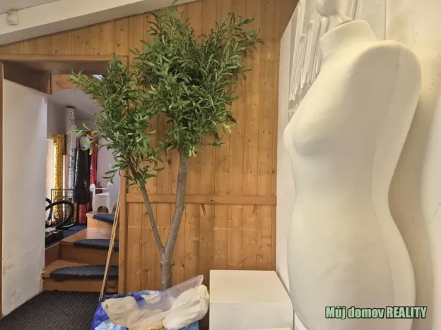 Pronájem skladu, Praha - Letňany, Beranových, 45 m2