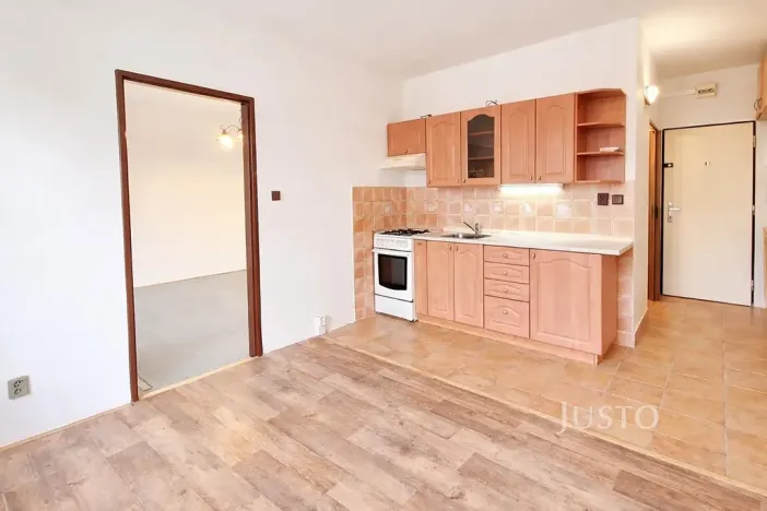 Prodej bytu 1+1, Písek, třída Přátelství, 38 m2