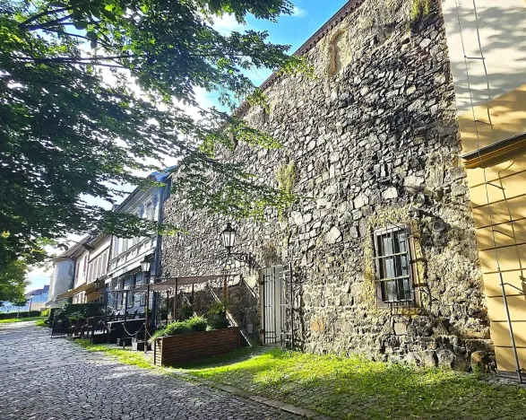 Pronájem restaurace, Písek, V Koutě, 230 m2