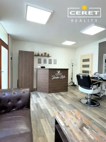 Prodej komerční nemovitosti, Žatec, Dvořákova, 139 m2