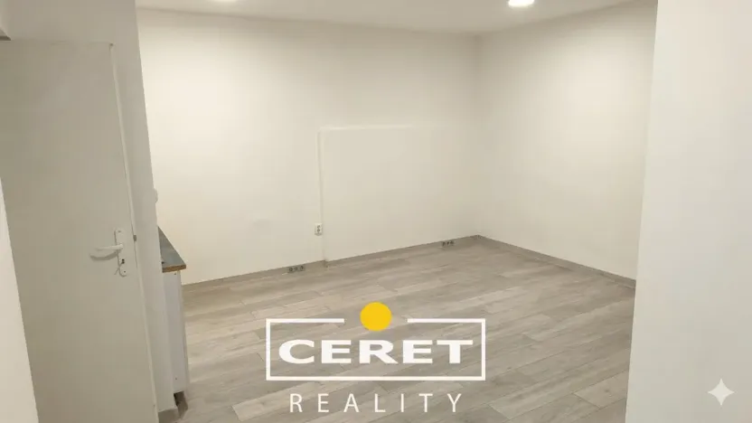 Prodej komerční nemovitosti, Žatec, Dvořákova, 139 m2