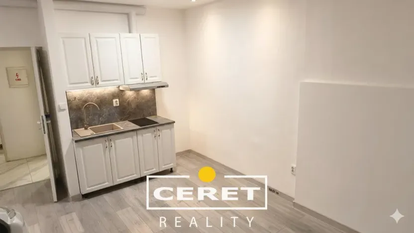 Prodej komerční nemovitosti, Žatec, Dvořákova, 139 m2