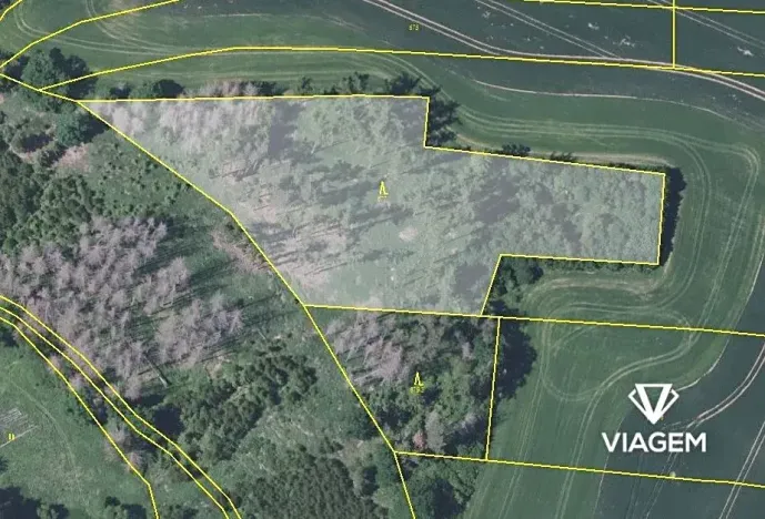 Prodej podílu lesa, Trhový Štěpánov, 6300 m2