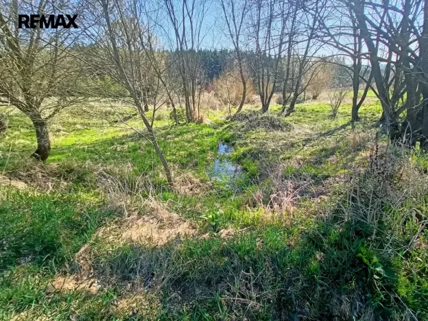 Prodej louky, Nemyšl, 20659 m2