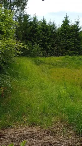 Prodej pozemku pro bydlení, Meziměstí, 2212 m2