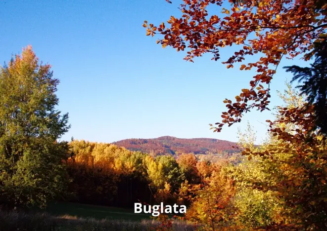 Prodej rodinného domu, Radošovice, 114 m2