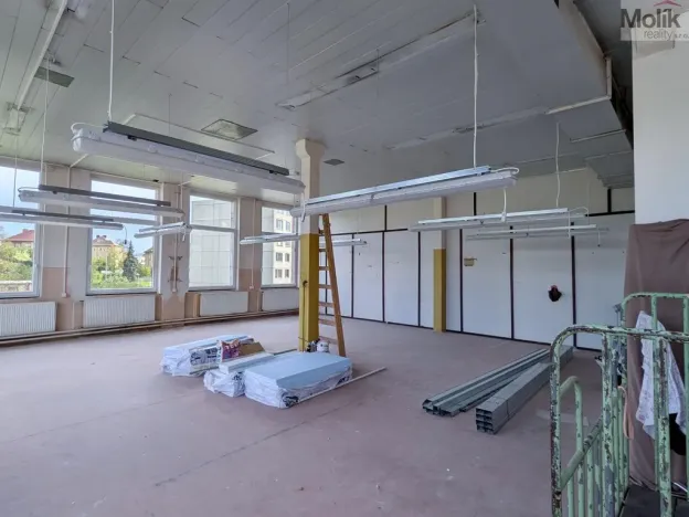 Pronájem výrobních prostor, Teplice - Trnovany, Thámova, 110 m2