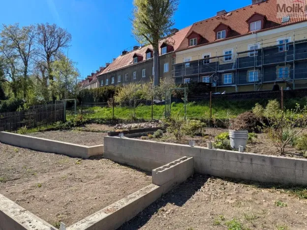 Prodej zahrady, Litvínov - Horní Litvínov, Jedličkova, 243 m2