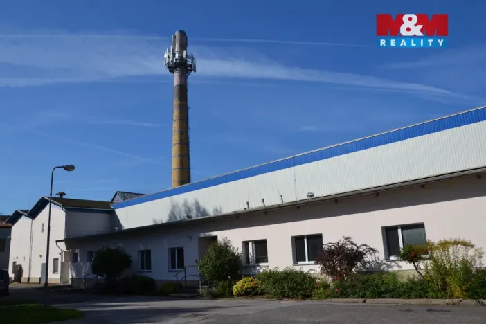 Prodej výrobních prostor, Miletín, Lhotova, 22000 m2