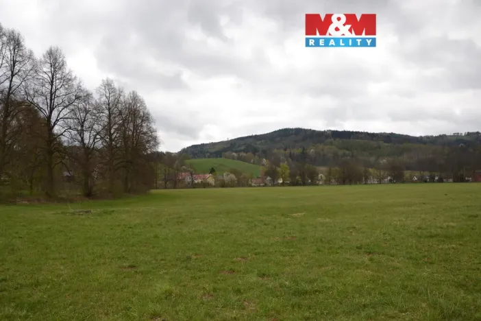 Prodej louky, Náchod - Běloves, 20495 m2