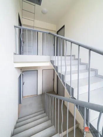 Pronájem bytu 2+kk, Ostrava - Mariánské Hory, Cottonové, 37 m2