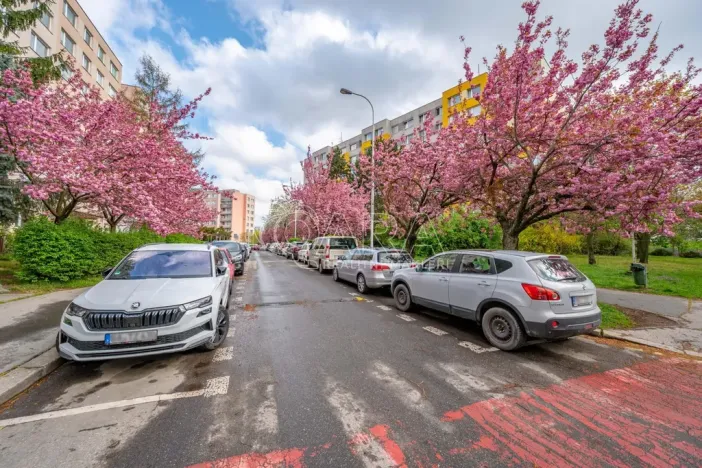 Prodej bytu 1+kk, Praha - Chodov, Nechvílova, 34 m2