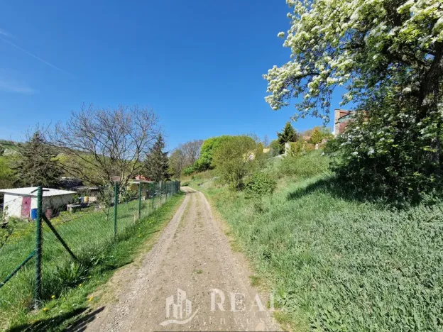 Prodej zahrady, Braňany, Pod Školou, 264 m2