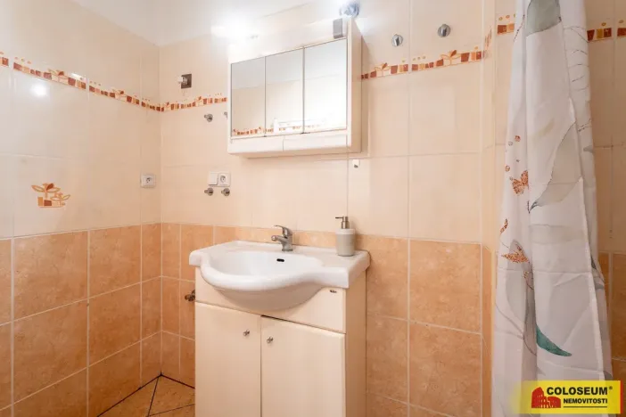 Pronájem rodinného domu, Vyškov - Vyškov-Předměstí, 63 m2