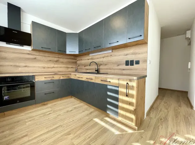 Prodej bytu 2+1, Ostrava - Hrabůvka, Františka Hajdy, 47 m2