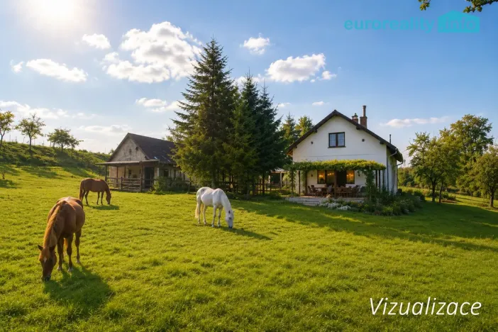 Prodej zemědělské usedlosti, Bítouchov - Dolánky, 600 m2