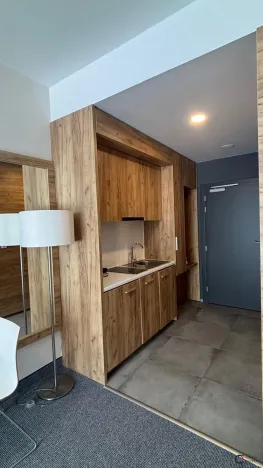 Prodej apartmánu, Dolní Morava, 28 m2