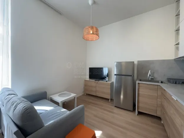 Pronájem bytu 1+kk, Ostrava - Moravská Ostrava, 28. října, 30 m2