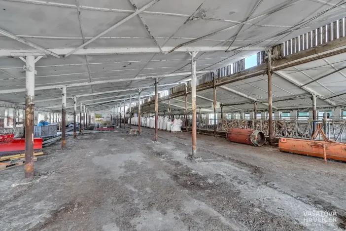 Prodej komerčního pozemku, Jasenná, 22131 m2