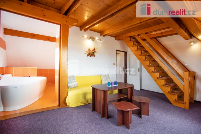 Prodej ubytování, Horní Planá - Hůrka, 1320 m2