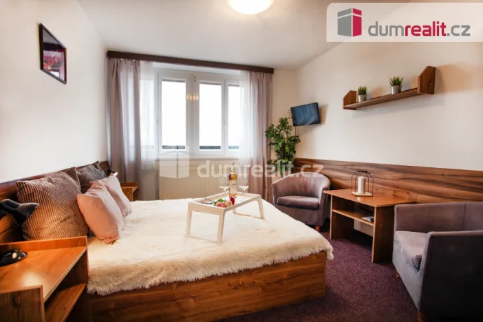 Prodej ubytování, Horní Planá - Hůrka, 1320 m2