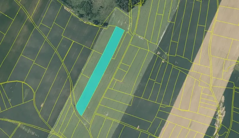 Prodej pole, Šebířov, 44451 m2