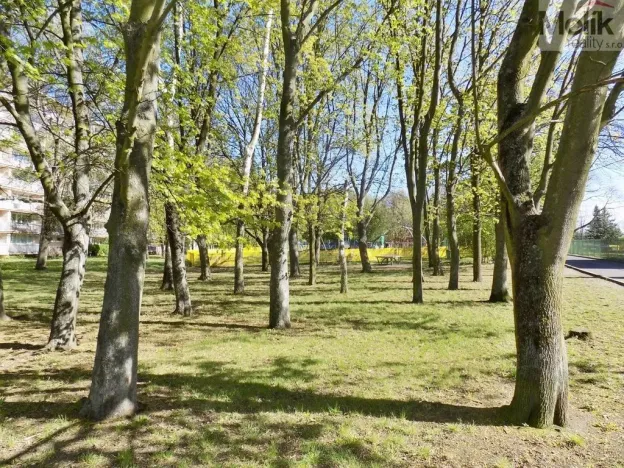 Prodej bytu 3+1, Teplice - Trnovany, Trnovanská, 71 m2