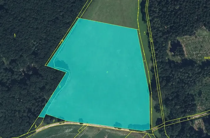 Prodej louky, Zdobín, 145881 m2