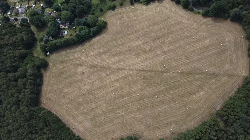 Prodej louky, Aš, 82414 m2