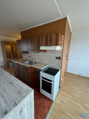 Pronájem bytu 2+1, Chomutov, Borová, 50 m2