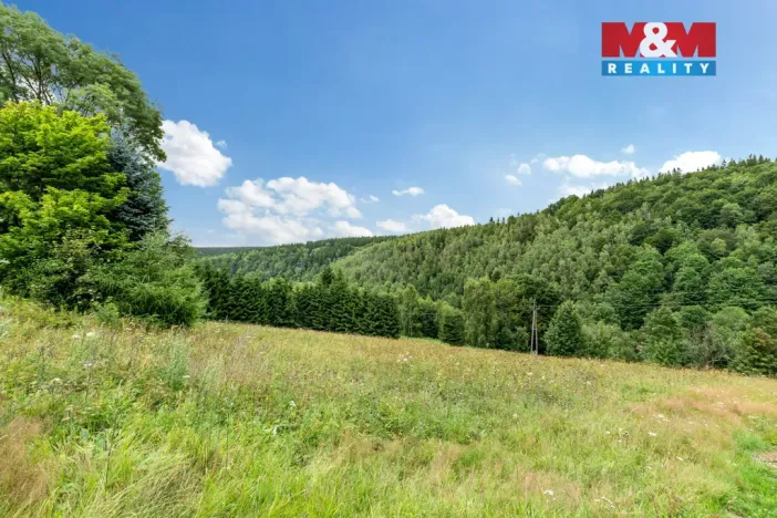 Prodej pozemku pro bydlení, Český Jiřetín, 4093 m2