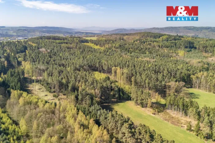 Prodej lesa, Losiná, 2645 m2